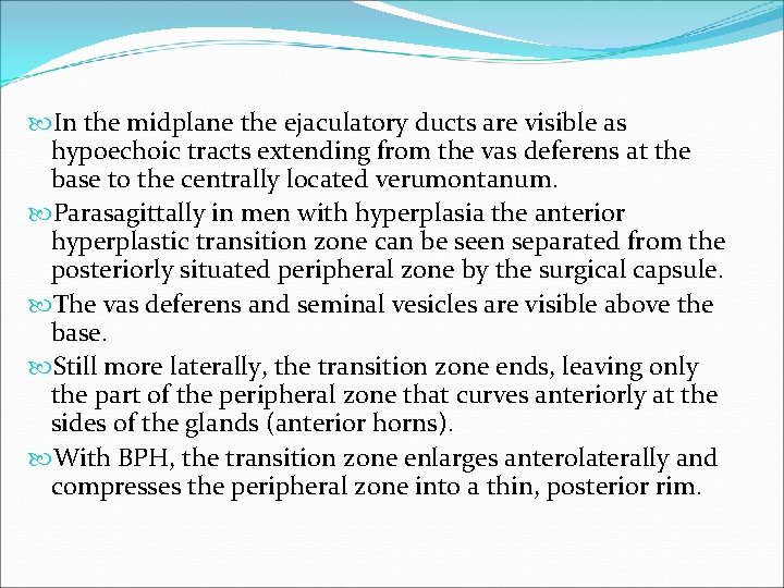  In the midplane the ejaculatory ducts are visible as hypoechoic tracts extending from