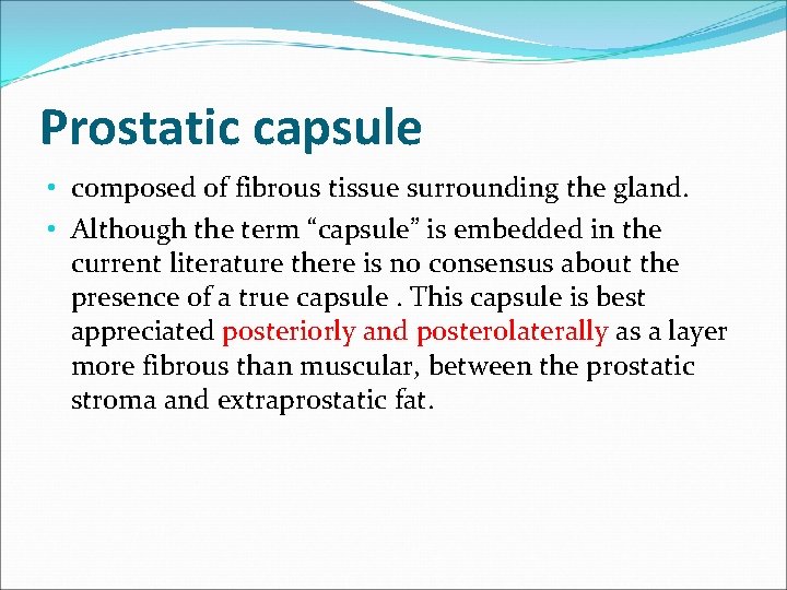 Prostatic capsule • composed of fibrous tissue surrounding the gland. • Although the term