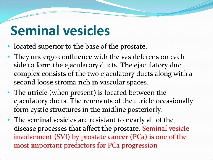 Seminal vesicles • located superior to the base of the prostate. • They undergo