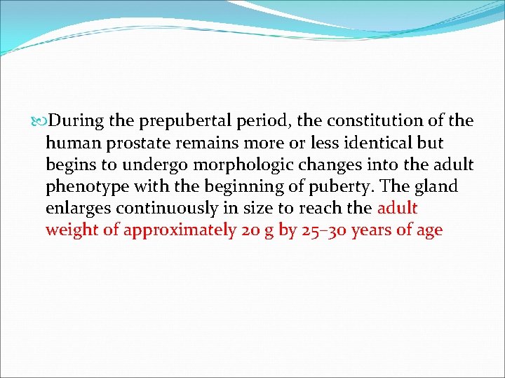  During the prepubertal period, the constitution of the human prostate remains more or