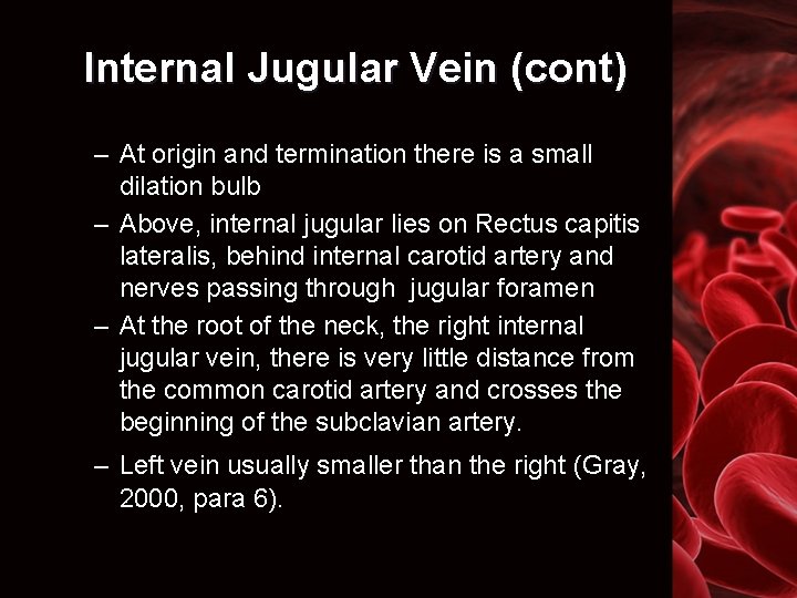 Internal Jugular Vein (cont) – At origin and termination there is a small dilation