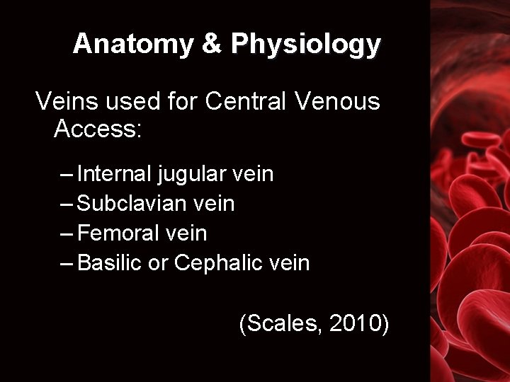 Anatomy & Physiology Veins used for Central Venous Access: – Internal jugular vein –