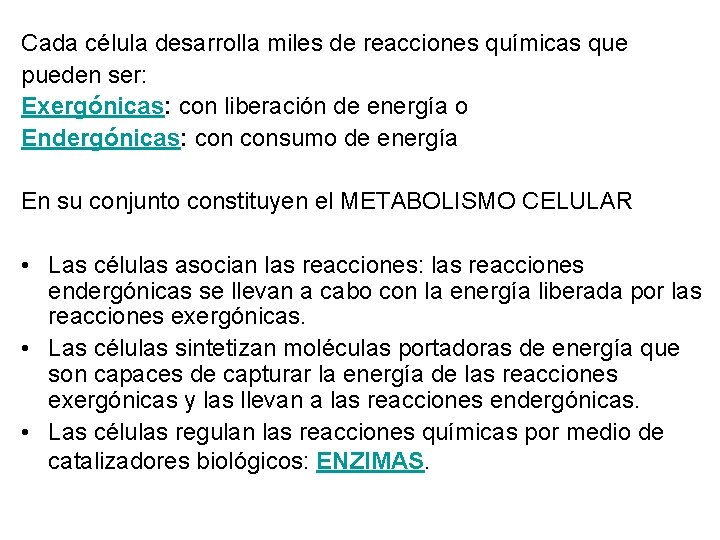 Cada célula desarrolla miles de reacciones químicas que pueden ser: Exergónicas: con liberación de