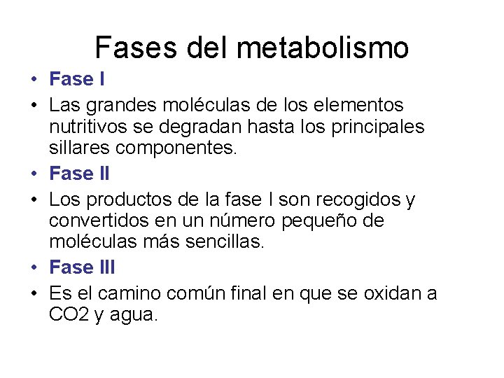 Fases del metabolismo • Fase I • Las grandes moléculas de los elementos nutritivos