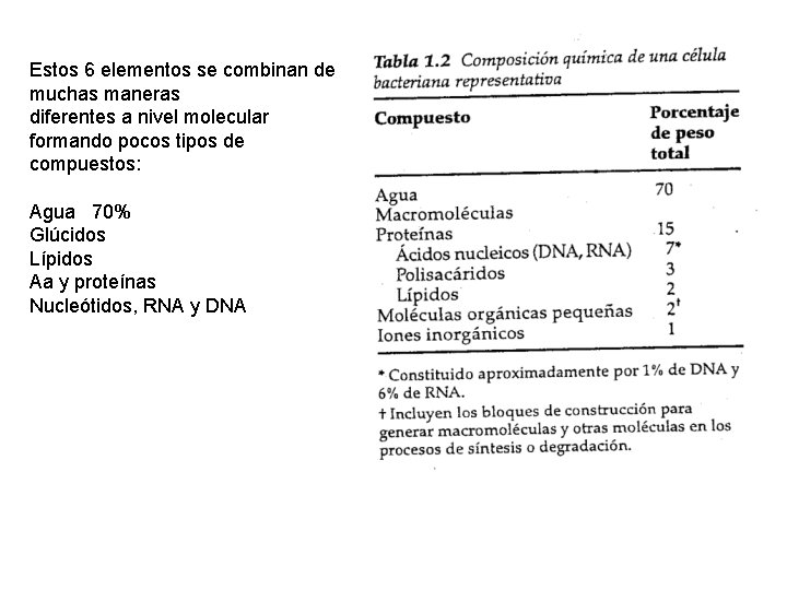 Estos 6 elementos se combinan de muchas maneras diferentes a nivel molecular formando pocos