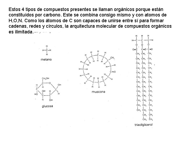 Estos 4 tipos de compuestos presentes se llaman orgánicos porque están constituídos por carbono.