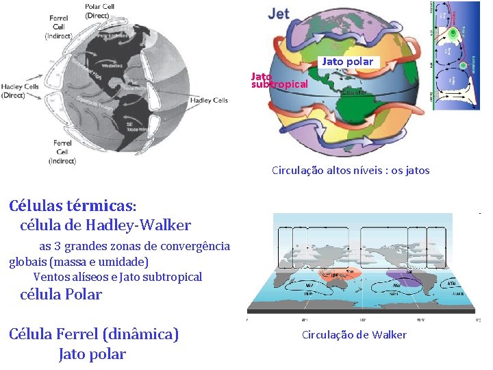 Jato polar Jato subtropical Circulação altos níveis : os jatos Células térmicas: célula de