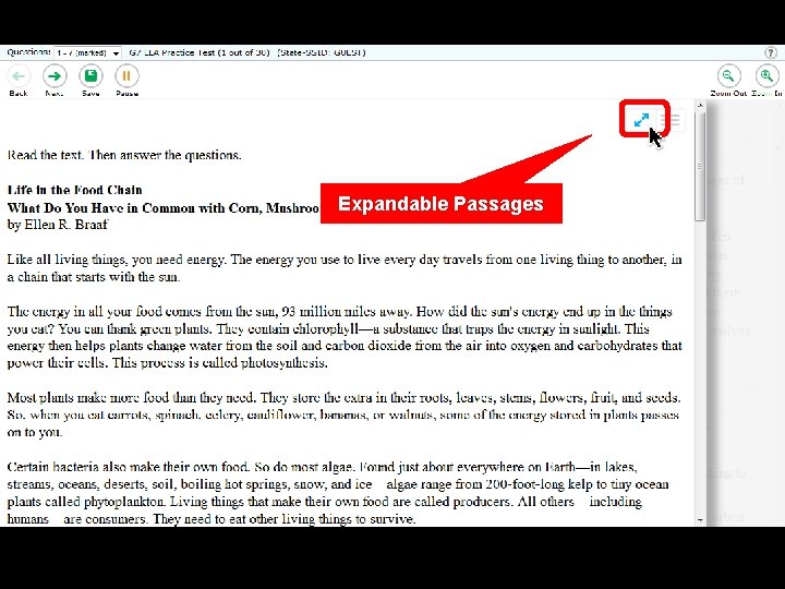 Expandable Passages 