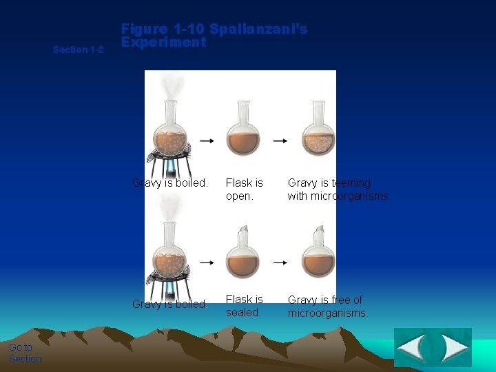 Section 1 -2 Go to Section: Figure 1 -10 Spallanzani’s Experiment Gravy is boiled.