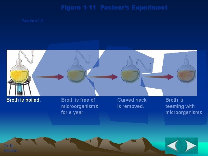 Figure 1 -11 Pasteur’s Experiment Section 1 -2 Broth is boiled. Go to Section: