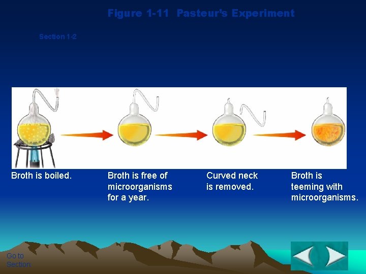 Figure 1 -11 Pasteur’s Experiment Section 1 -2 Broth is boiled. Go to Section: