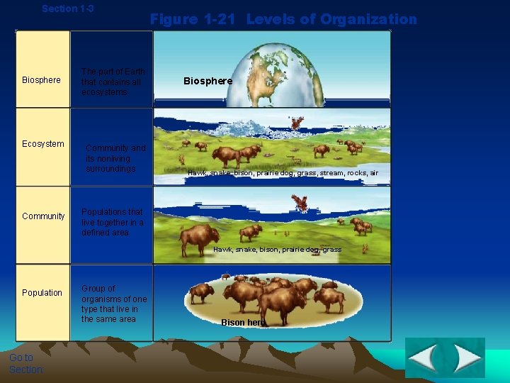 Section 1 -3 Biosphere Ecosystem Community The part of Earth that contains all ecosystems