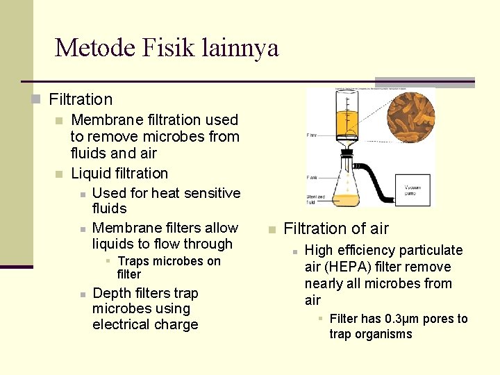 Metode Fisik lainnya n Filtration n Membrane filtration used to remove microbes from fluids