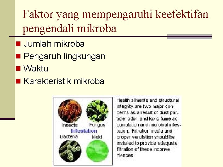 Faktor yang mempengaruhi keefektifan pengendali mikroba n Jumlah mikroba n Pengaruh lingkungan n Waktu