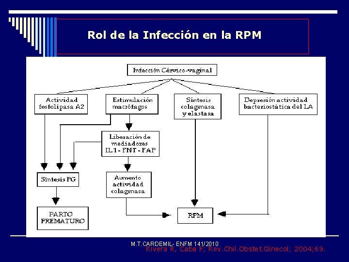Rol de la Infección en la RPM M. T. CARDEMIL- ENFM 141/2010 Rivera R,