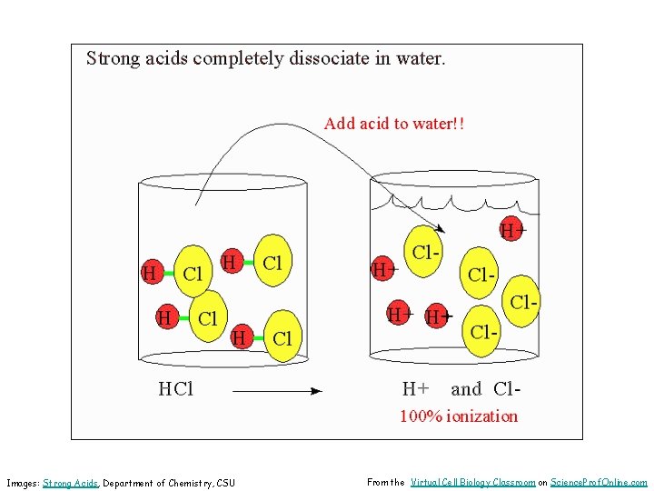 Images: Strong Acids, Department of Chemistry, CSU From the Virtual Cell Biology Classroom on
