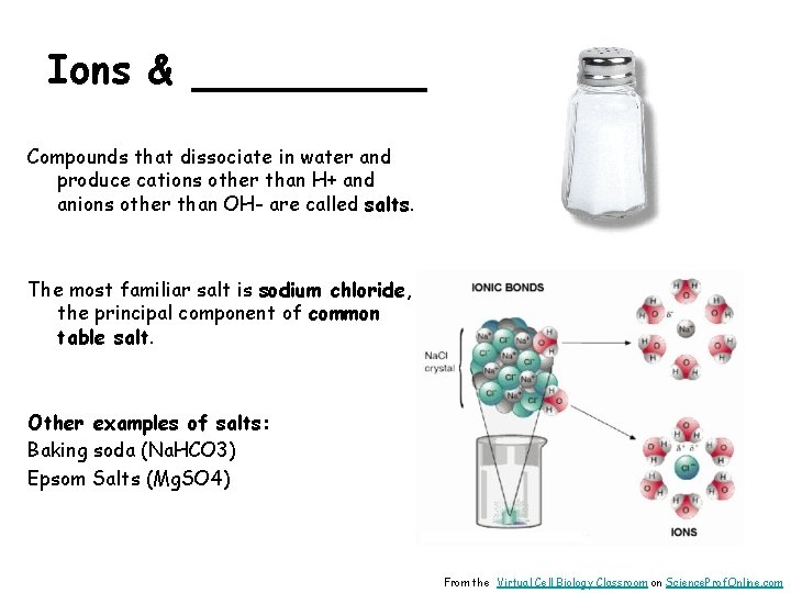 Ions & _______ Compounds that dissociate in water and produce cations other than H+