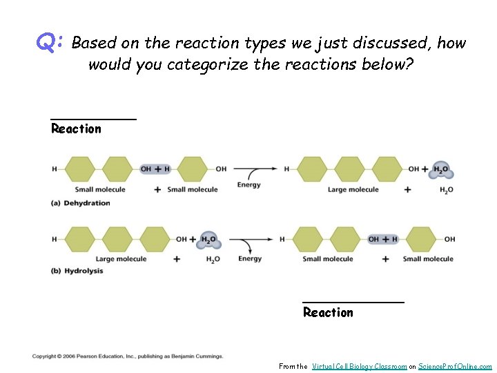 Q: Based on the reaction types we just discussed, how would you categorize the