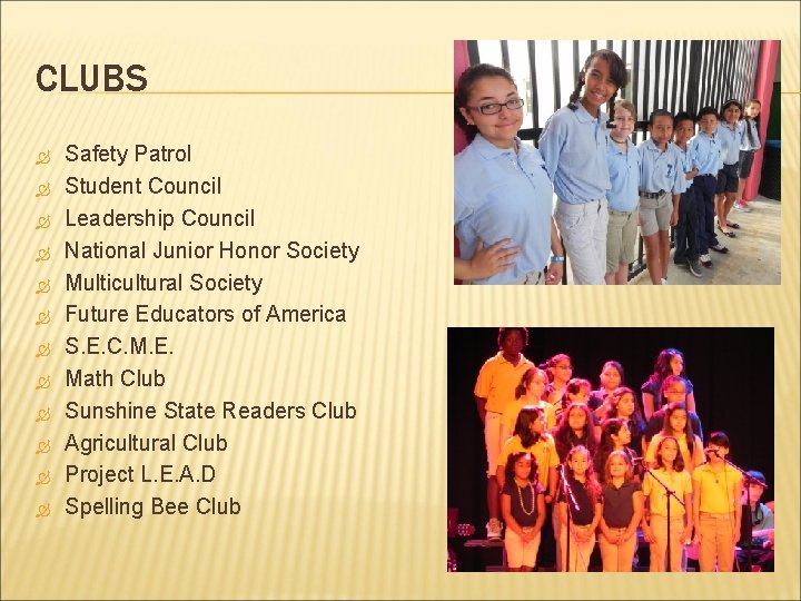 CLUBS Safety Patrol Student Council Leadership Council National Junior Honor Society Multicultural Society Future