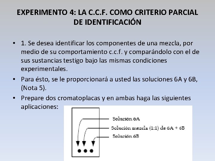 EXPERIMENTO 4: LA C. C. F. COMO CRITERIO PARCIAL DE IDENTIFICACIÓN • 1. Se