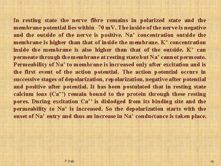 In resting state the nerve fibre remains in polarized state and the membrane potential