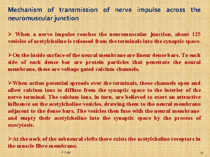 Mechanism of transmission of nerve impulse across the neuromuscular junction Ø When a nerve