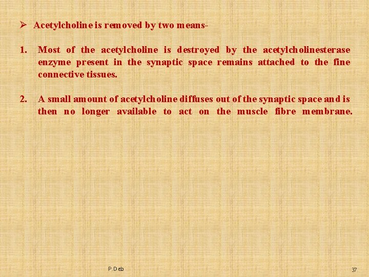 Ø Acetylcholine is removed by two means 1. Most of the acetylcholine is destroyed