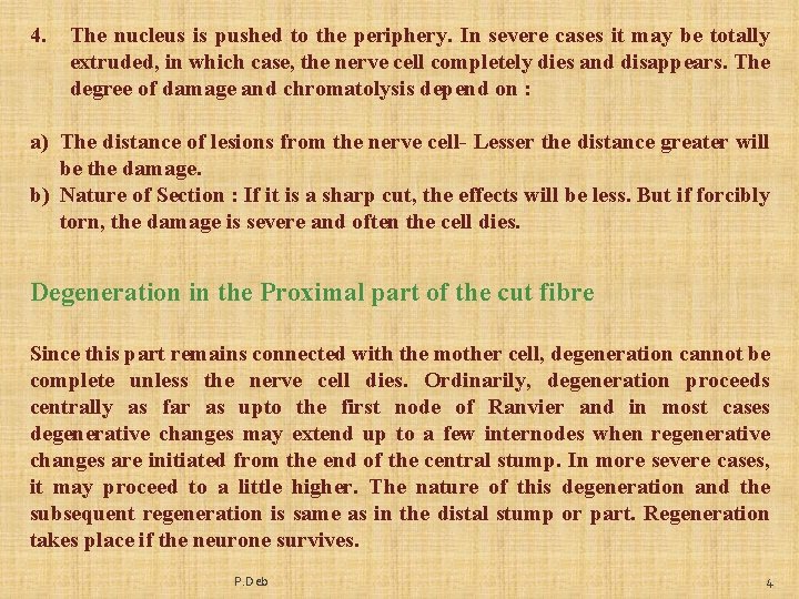 4. The nucleus is pushed to the periphery. In severe cases it may be