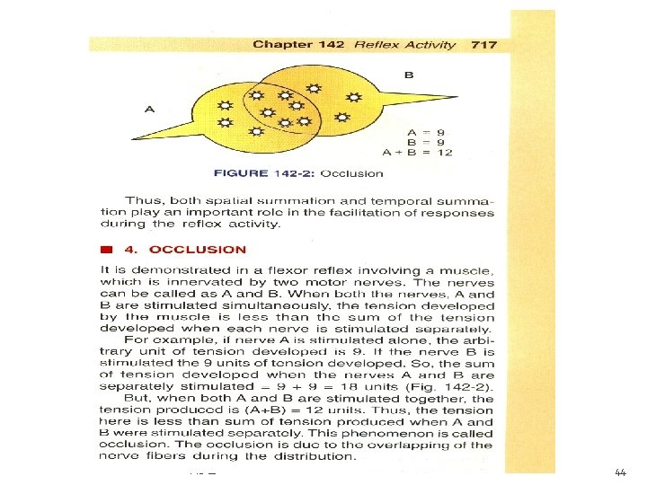 P. Deb 44 