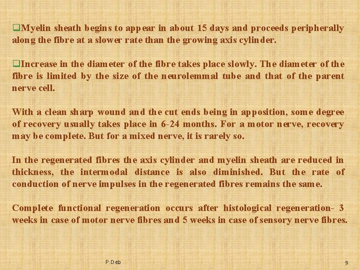 q. Myelin sheath begins to appear in about 15 days and proceeds peripherally along