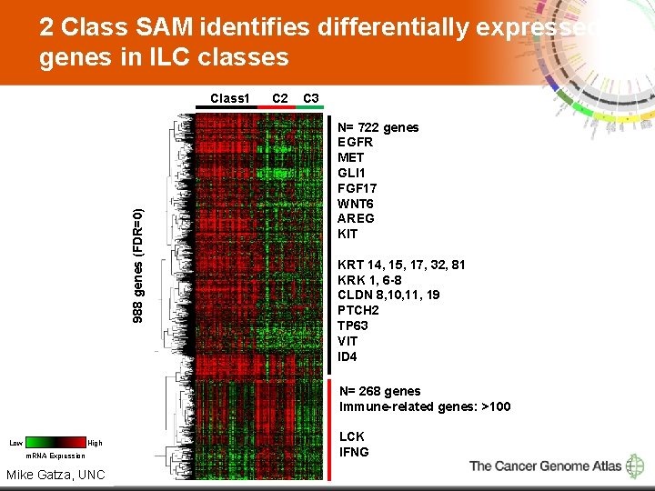 2 Class SAM identifies differentially expressed genes in ILC classes 988 genes (FDR=0) Class