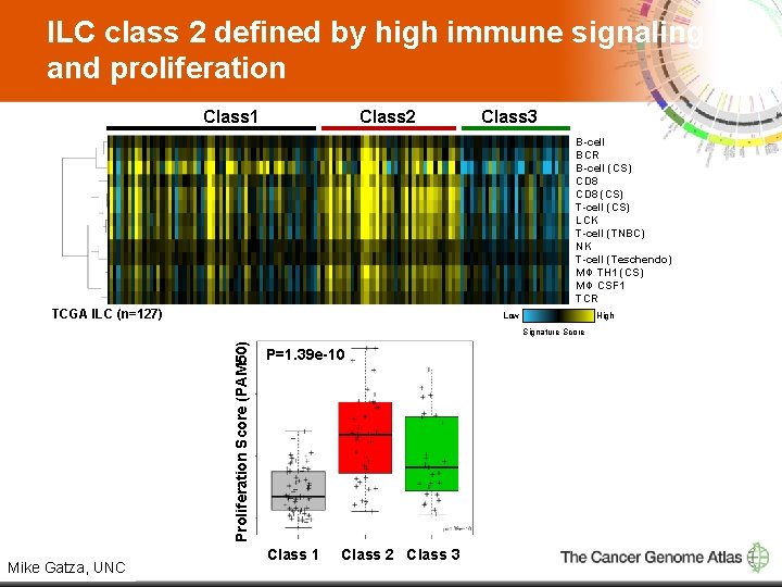 ILC class 2 defined by high immune signaling and proliferation Class 1 Class 2