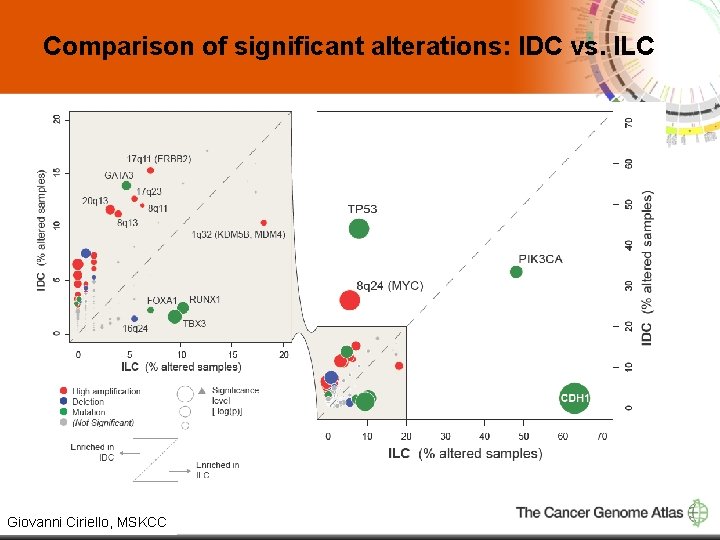 Comparison of significant alterations: IDC vs. ILC 6 Giovanni Ciriello, MSKCC 