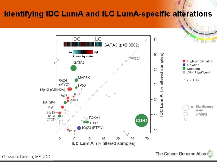 Identifying IDC Lum. A and ILC Lum. A-specific alterations IDC ILC GATA 3 (p=0.