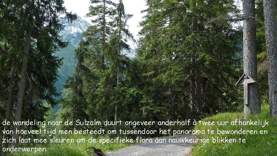 de wandeling naar de Sulzalm duurt ongeveer anderhalf à twee uur afhankelijk van hoeveel