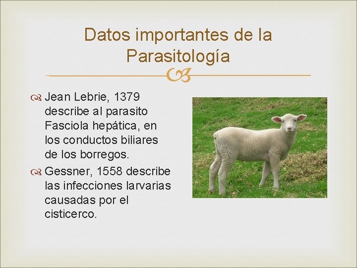 Datos importantes de la Parasitología Jean Lebrie, 1379 describe al parasito Fasciola hepática, en