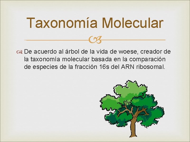 Taxonomía Molecular De acuerdo al árbol de la vida de woese, creador de la