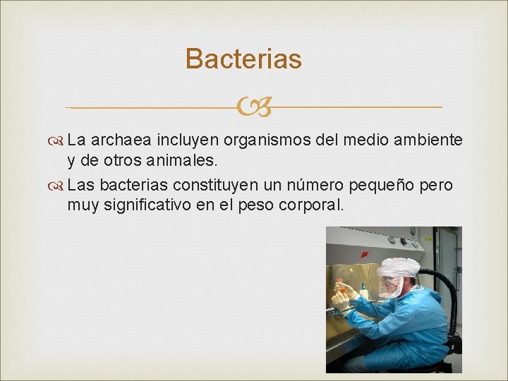 Bacterias La archaea incluyen organismos del medio ambiente y de otros animales. Las bacterias