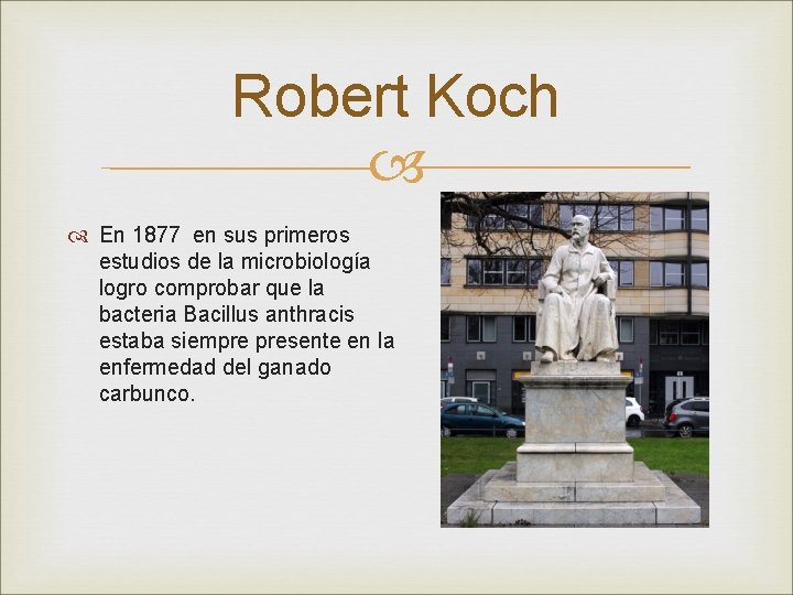 Robert Koch En 1877 en sus primeros estudios de la microbiología logro comprobar que