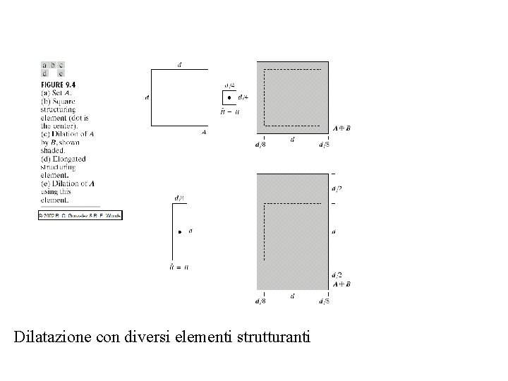 Dilatazione con diversi elementi strutturanti 