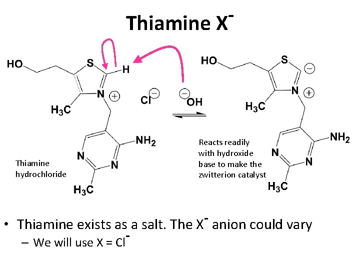 Thiamine X Thiamine hydrochloride Reacts readily with hydroxide base to make the zwitterion catalyst