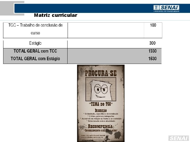 Matriz curricular 