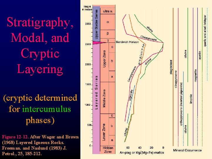 Stratigraphy, Modal, and Cryptic Layering (cryptic determined for intercumulus phases) Figure 12 -12. After