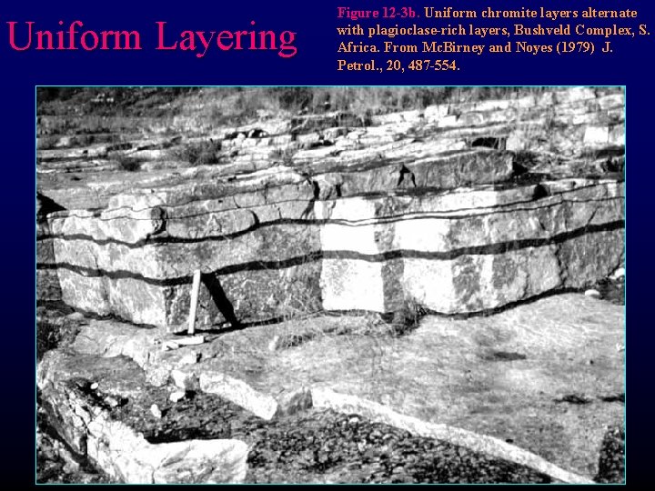 Uniform Layering Figure 12 -3 b. Uniform chromite layers alternate with plagioclase-rich layers, Bushveld