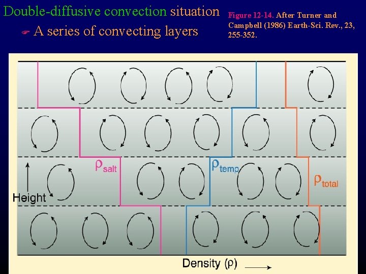 Double-diffusive convection situation F A series of convecting layers Figure 12 -14. After Turner