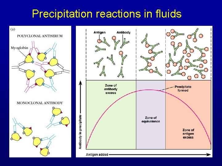 Precipitation reactions in fluids 