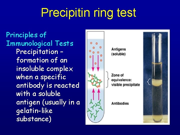 Precipitin ring test Principles of Immunological Tests Precipitation – formation of an insoluble complex