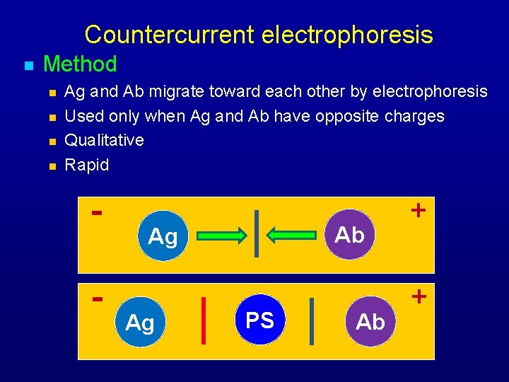 Countercurrent electrophoresis n Method n n Ag and Ab migrate toward each other by