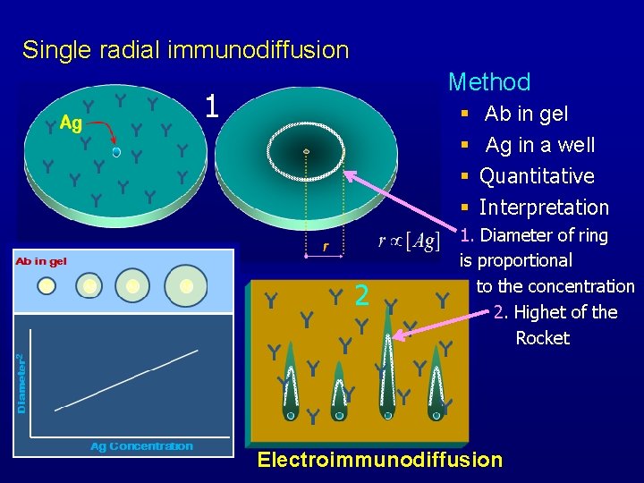 Single radial immunodiffusion Method 1 § § 2 Ab in gel Ag in a