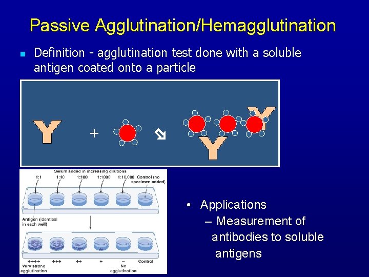 Passive Agglutination/Hemagglutination n Definition - agglutination test done with a soluble antigen coated onto